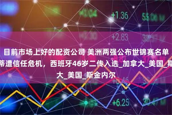 目前市场上好的配资公司 美洲两强公布世锦赛名单！古德蒂遭信任危机，西班牙46岁二传入选_加拿大_美国_斯金内尔